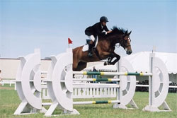 Traverse City Horse Show